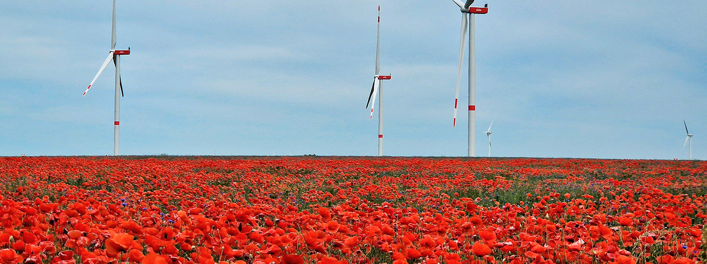 ENGIE Deutschland Pressemitteilungen: Windpark Querdingen