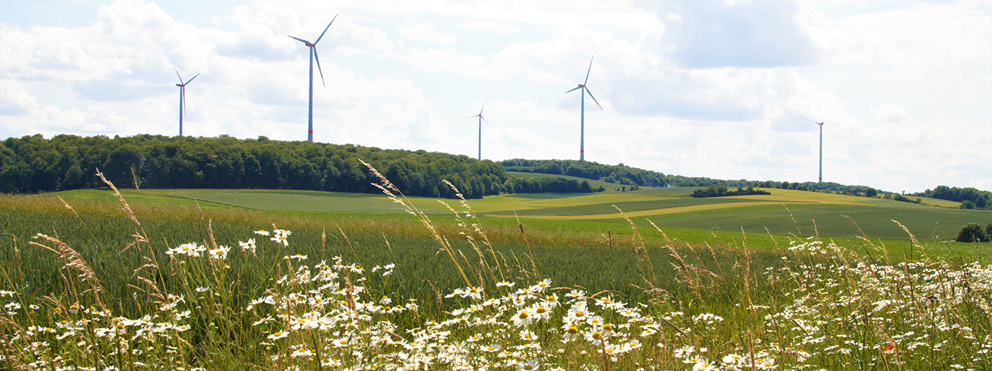 ENGIE Deutschland Pressemitteilungen: Stahlkonzern Salzgitter AG und Energieunternehmen ENGIE  schließen Power Purchase Agreement ab 