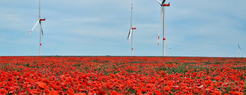 ENGIE Deutschland Pressemitteilungen: Windpark Querdingen