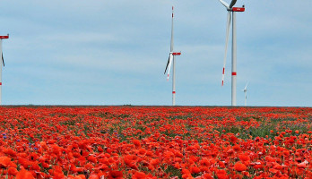 ENGIE Deutschland Pressemitteilungen: Windpark Querdingen